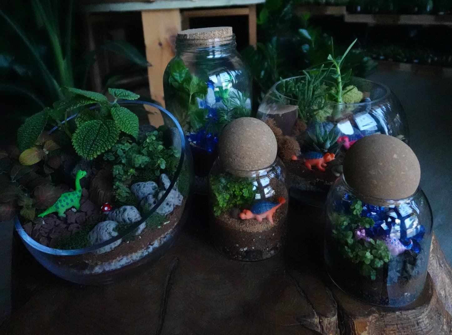 Dinosaur Terrariums - Sat 8/15 6:00 PM