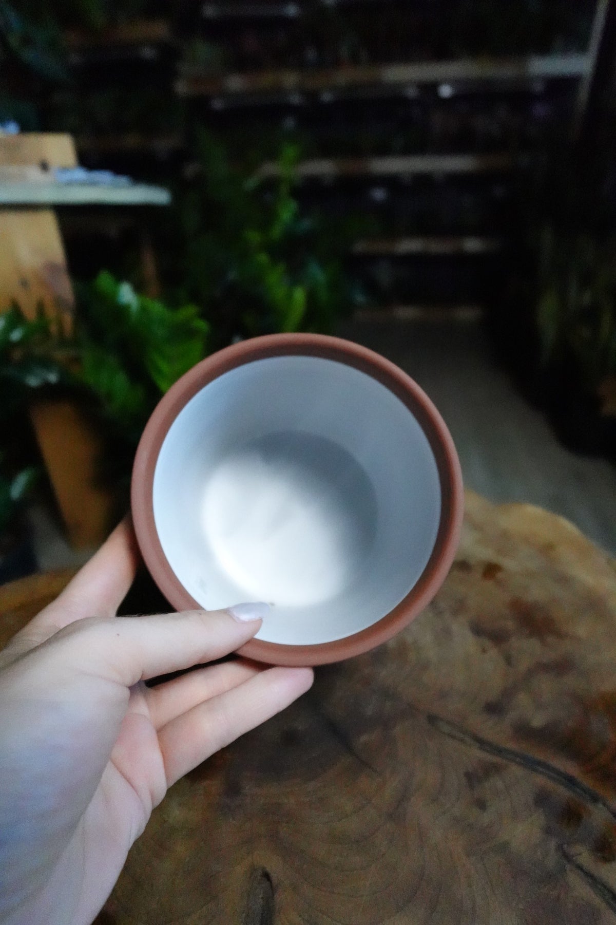 Solar Footed Pot 5"