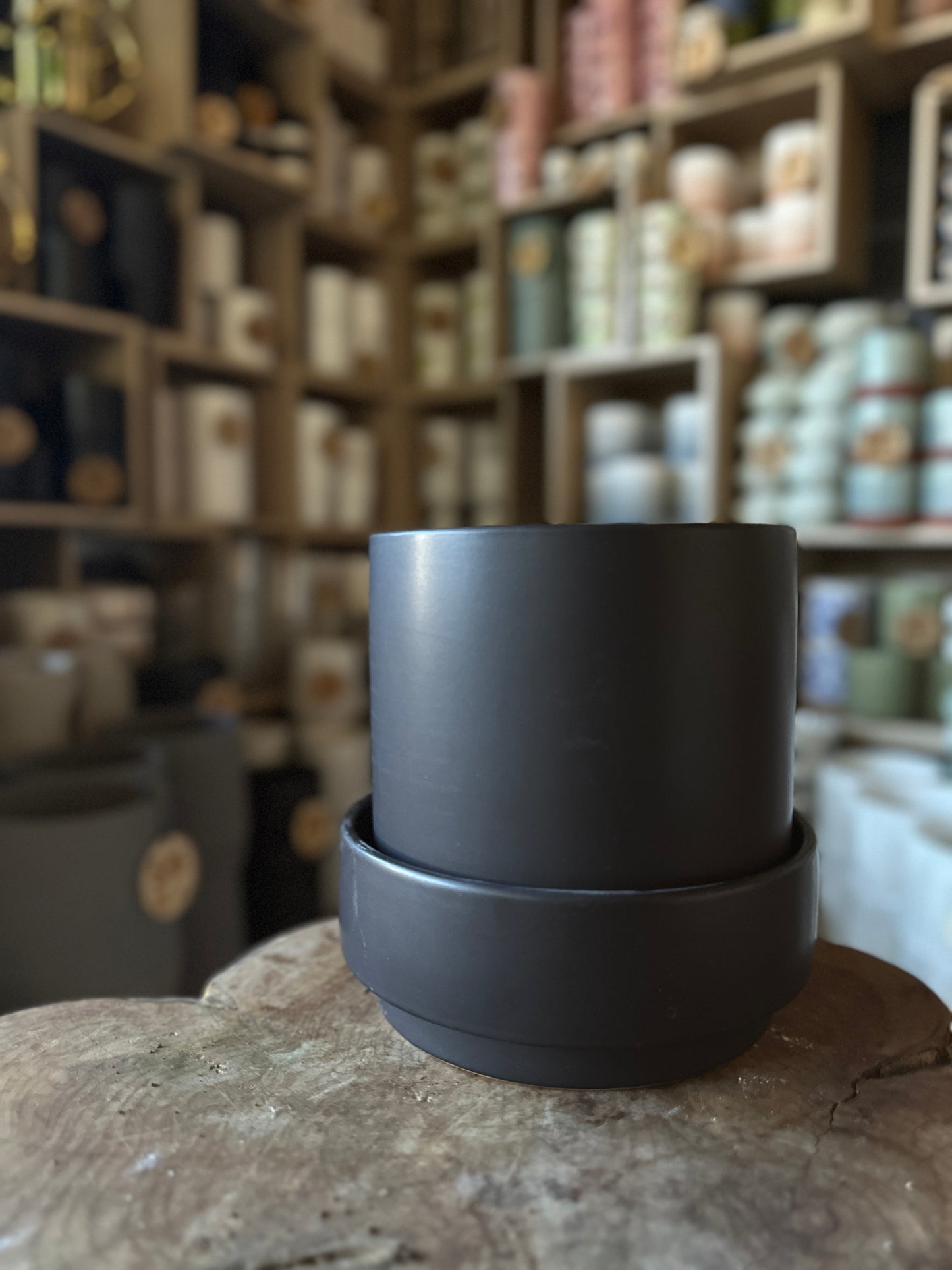 Claxton Pot Black 6"