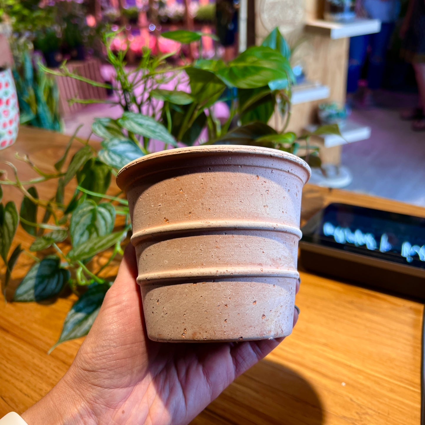 4.3" Siena Mini Pot (Clay Terracotta)
