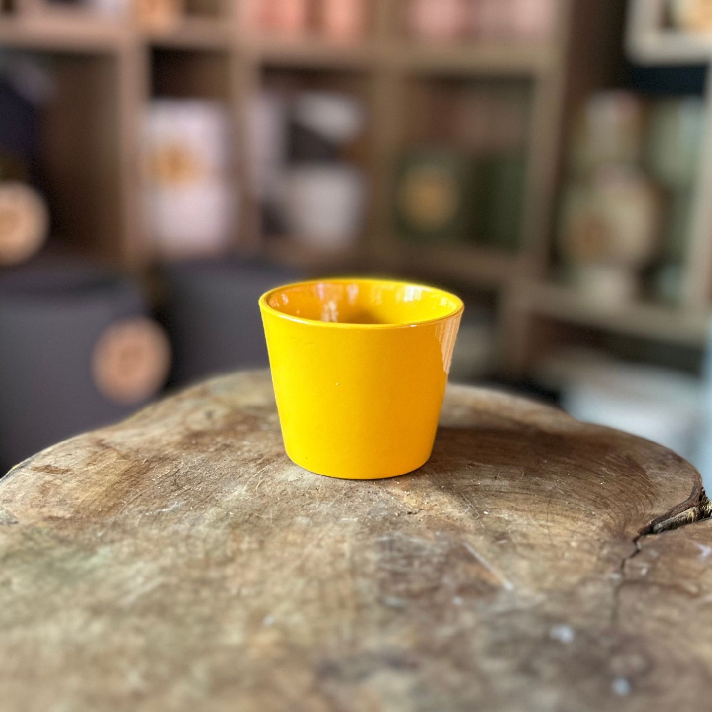 Mustard Yellow Pot 2.5”