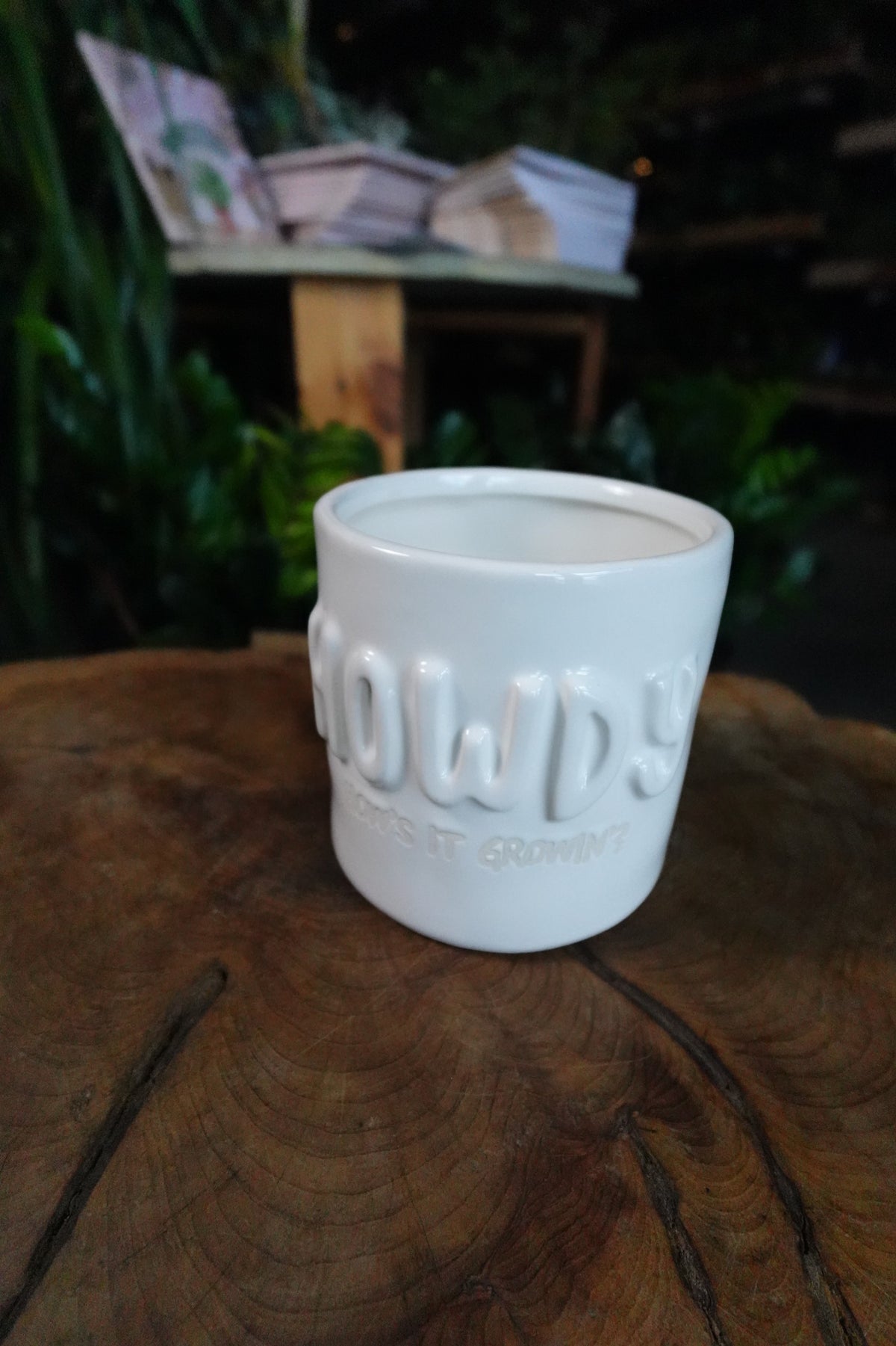 Howdy Plant Pot 4.5"