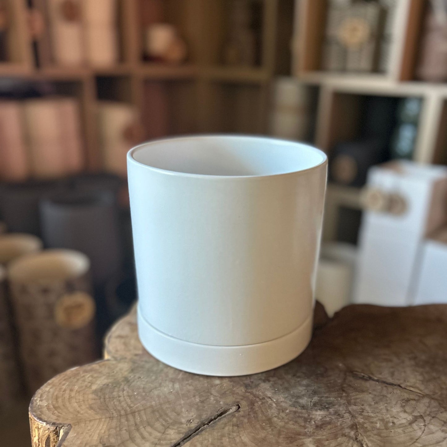 Romney Pot White 6”