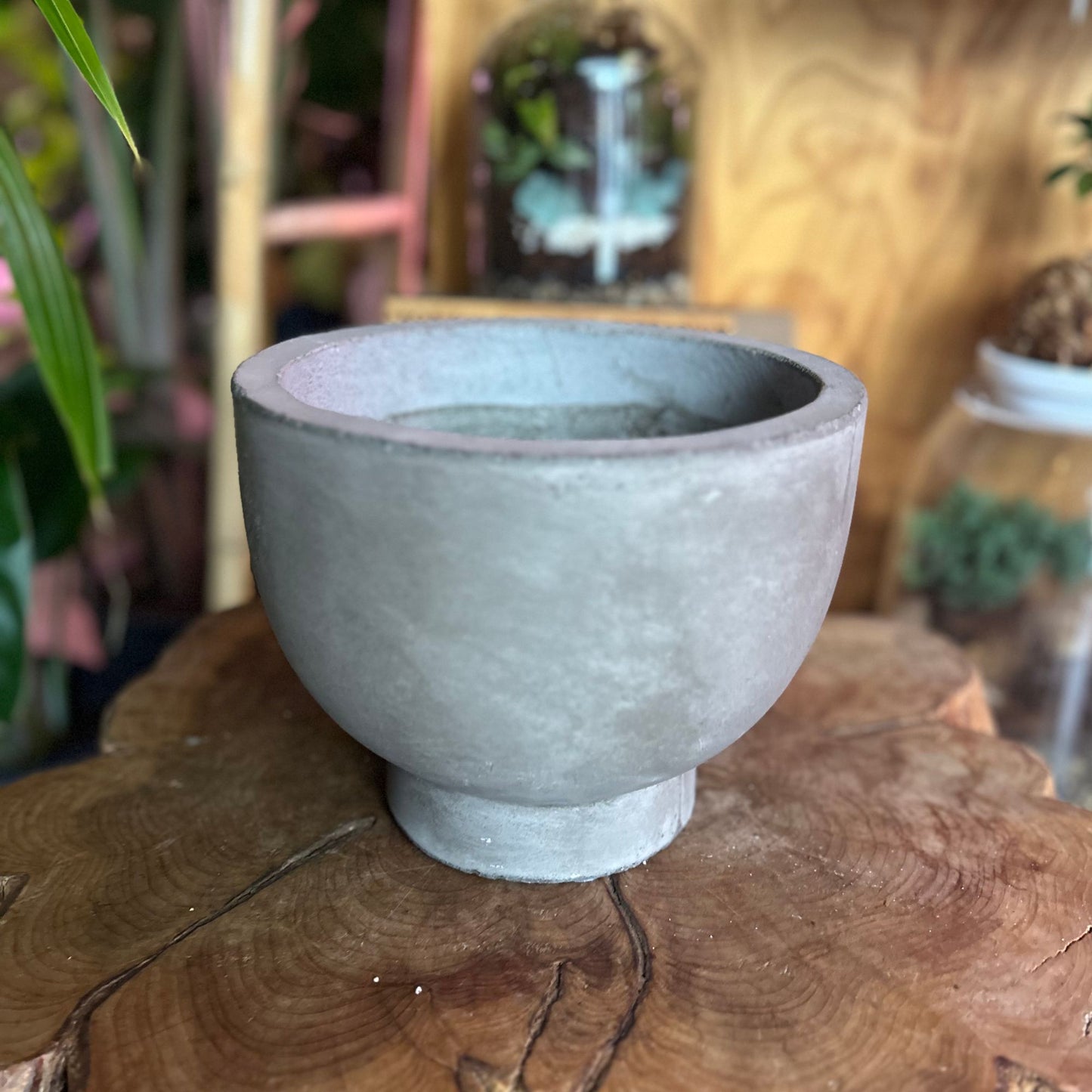 Newport Compote Pot 8"