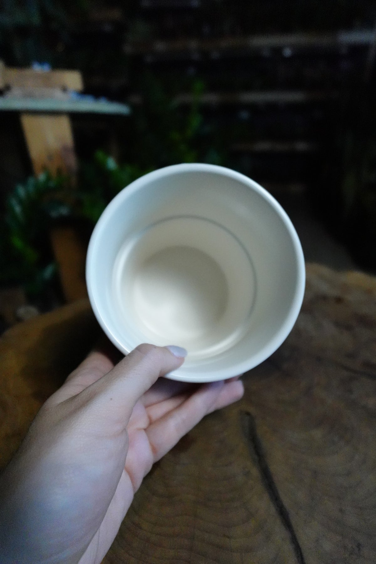 Checkerboard Pot Purple 4.5”