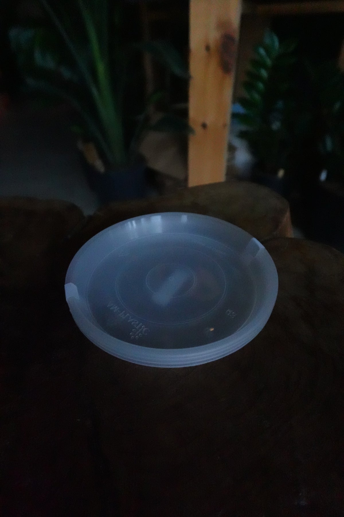 Saucers 5" (3 pack)