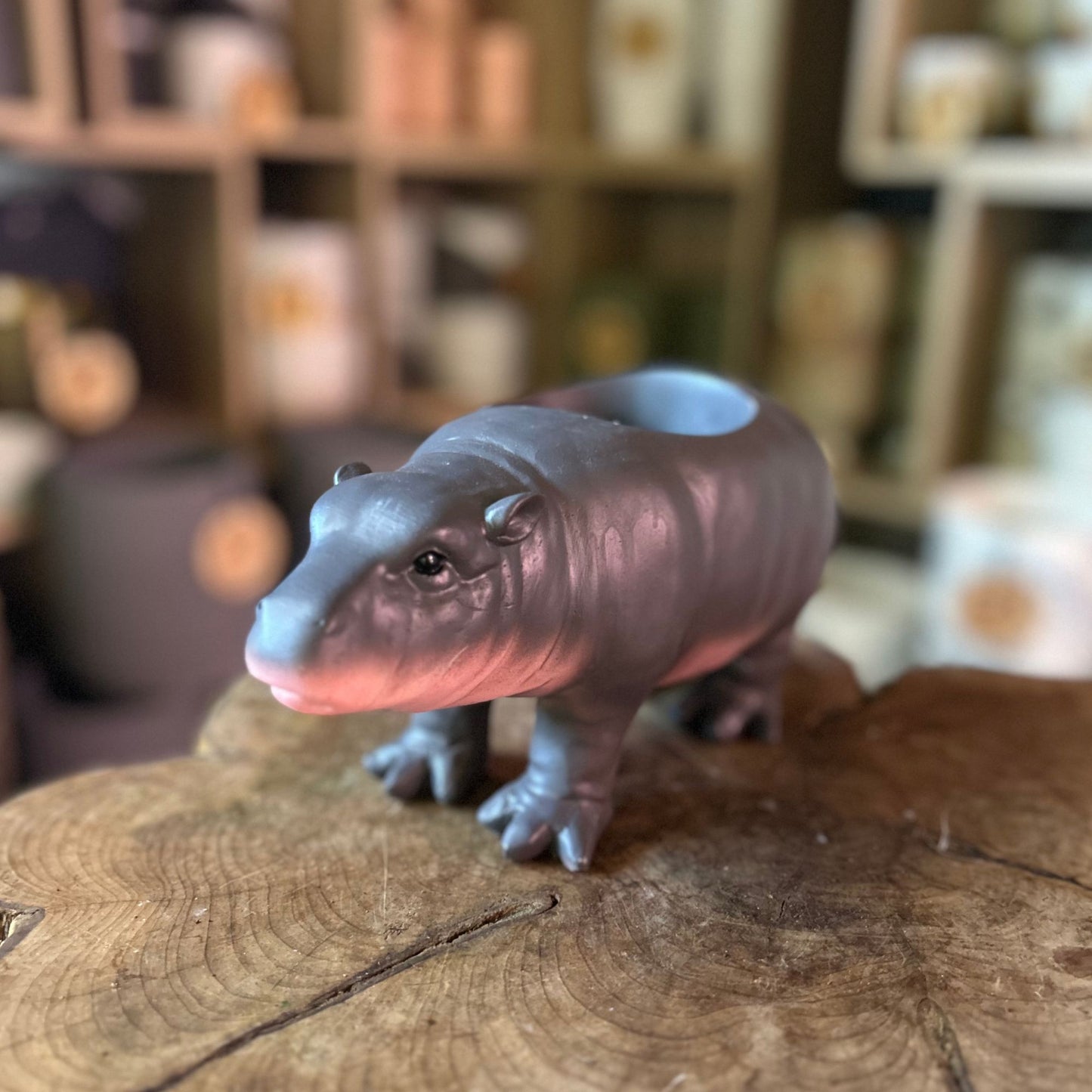 Moo Deng Pygmy Hippo Pot