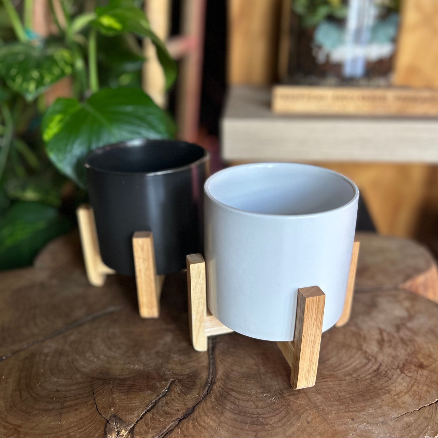 Cylinder Pot w/ Wood Stand 4.5"