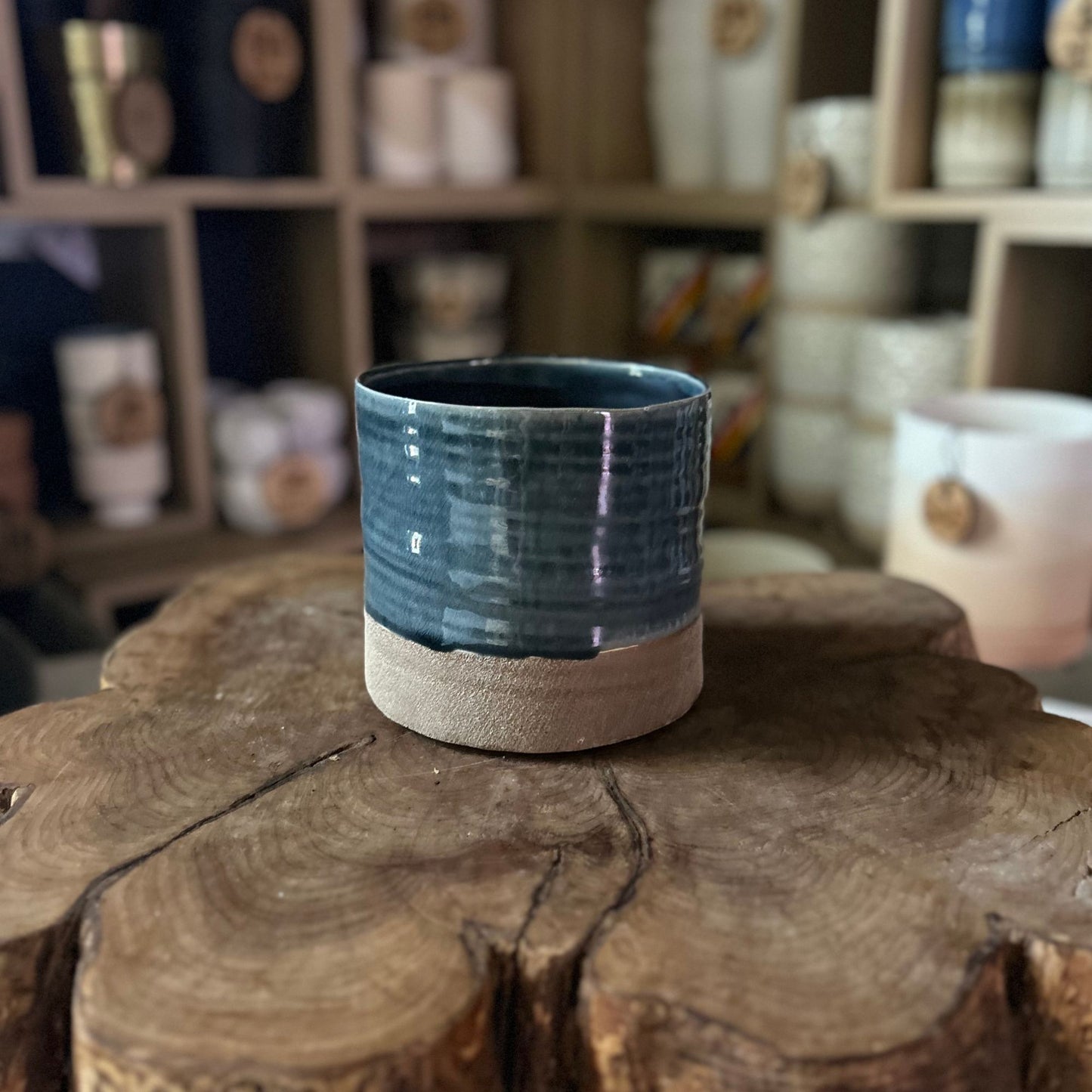 Glazed + Sand Pot 6"