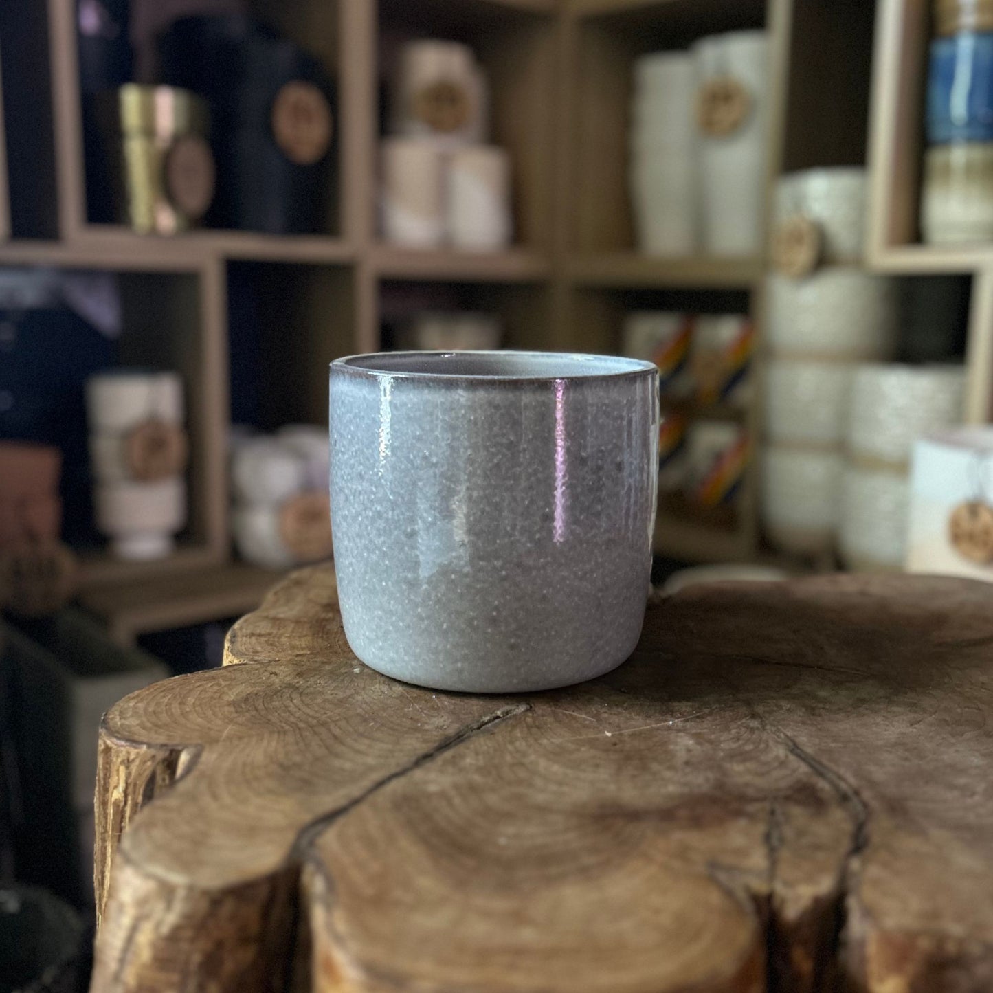 Seashell Pot (gray/brown) 5”