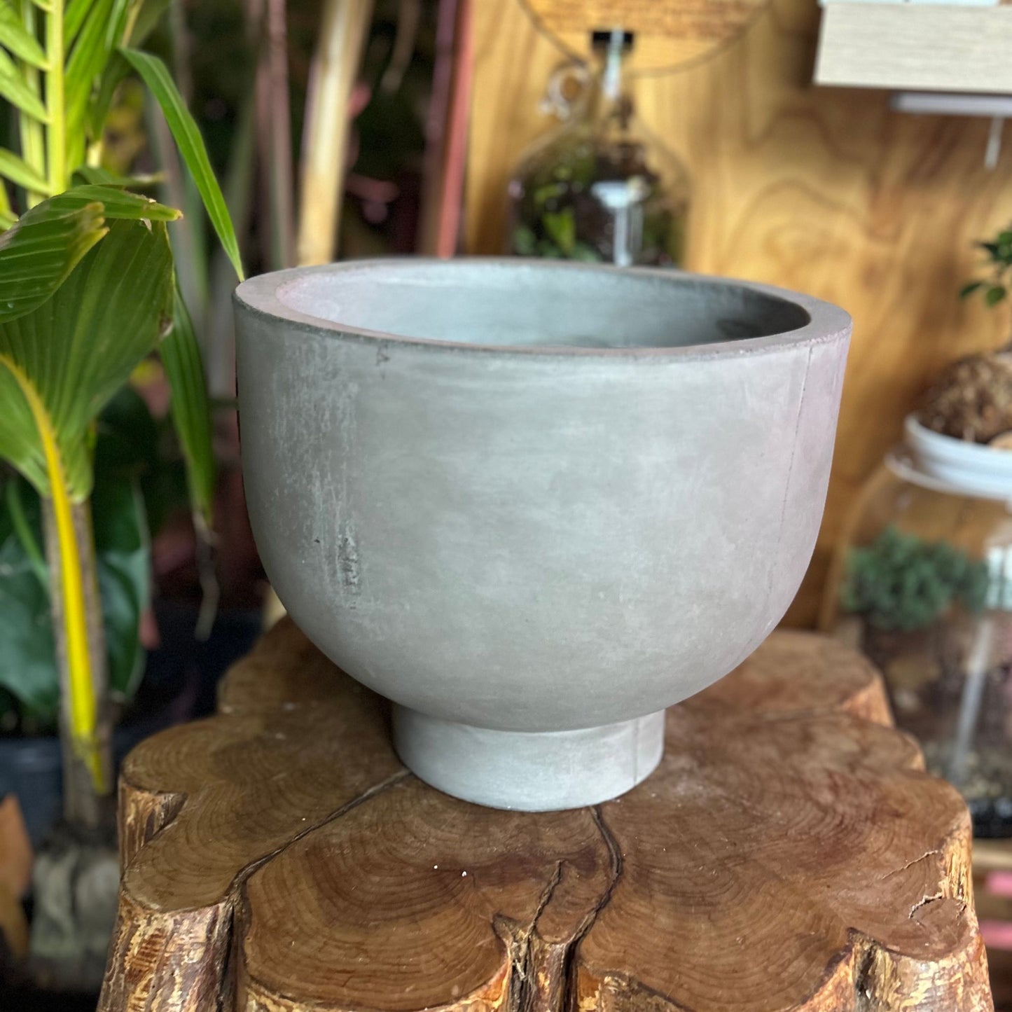 Newport Compote Pot 10"