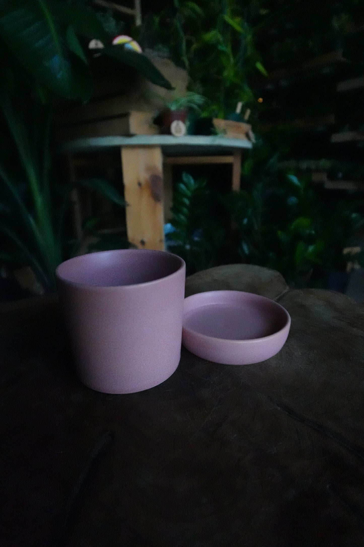 Watson Pot Pink 3"
