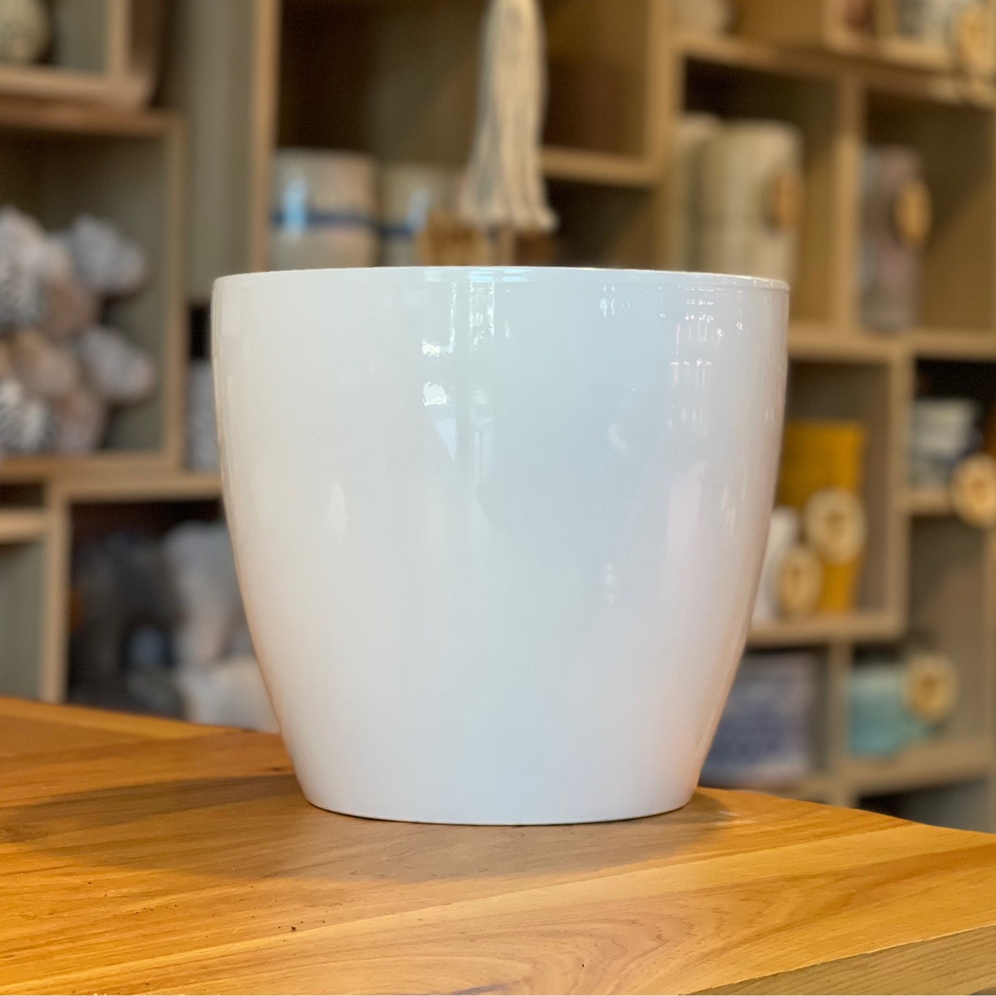 Alaska Pot (Round) 10”