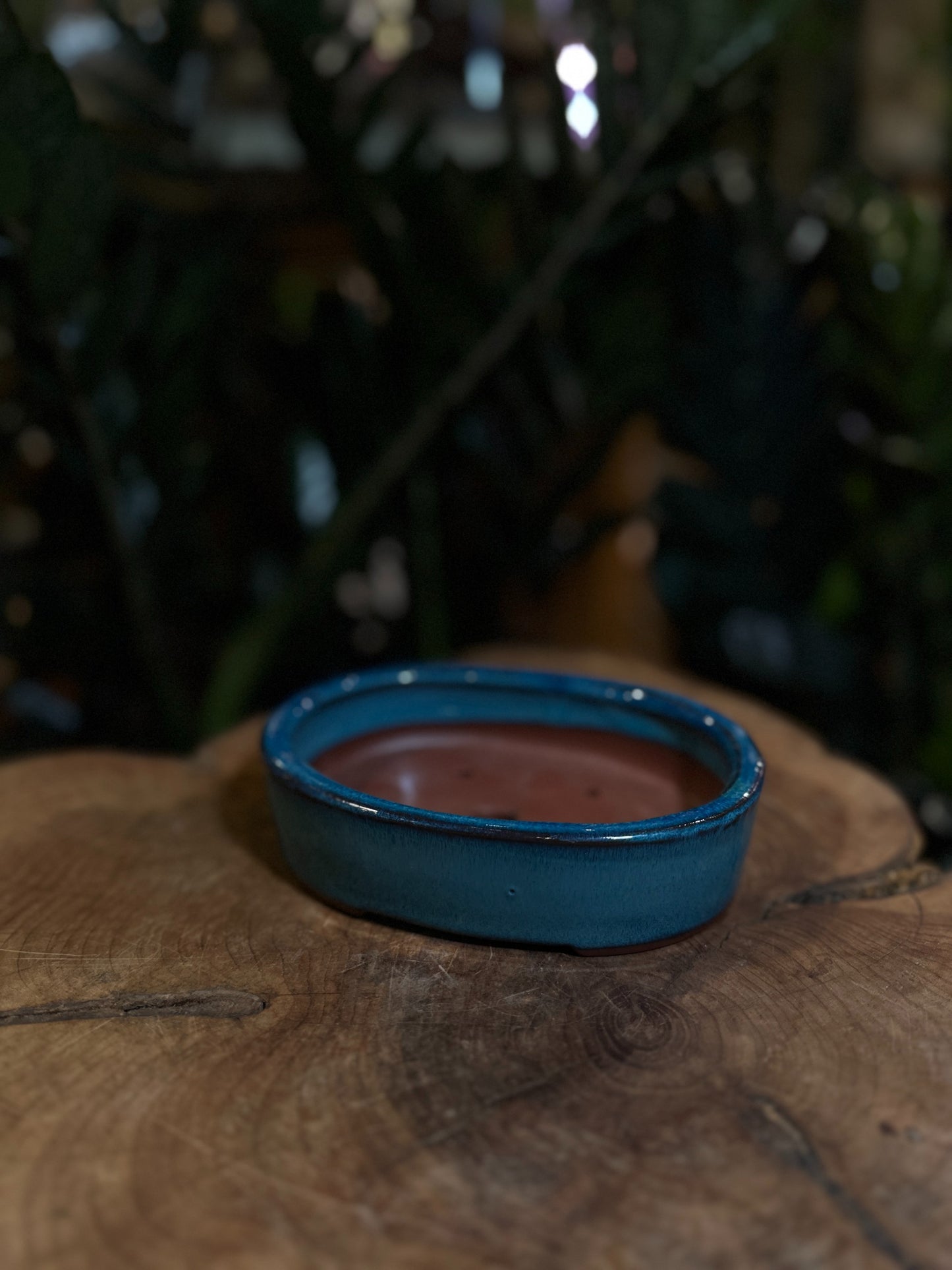 Bonsai Pot 4"