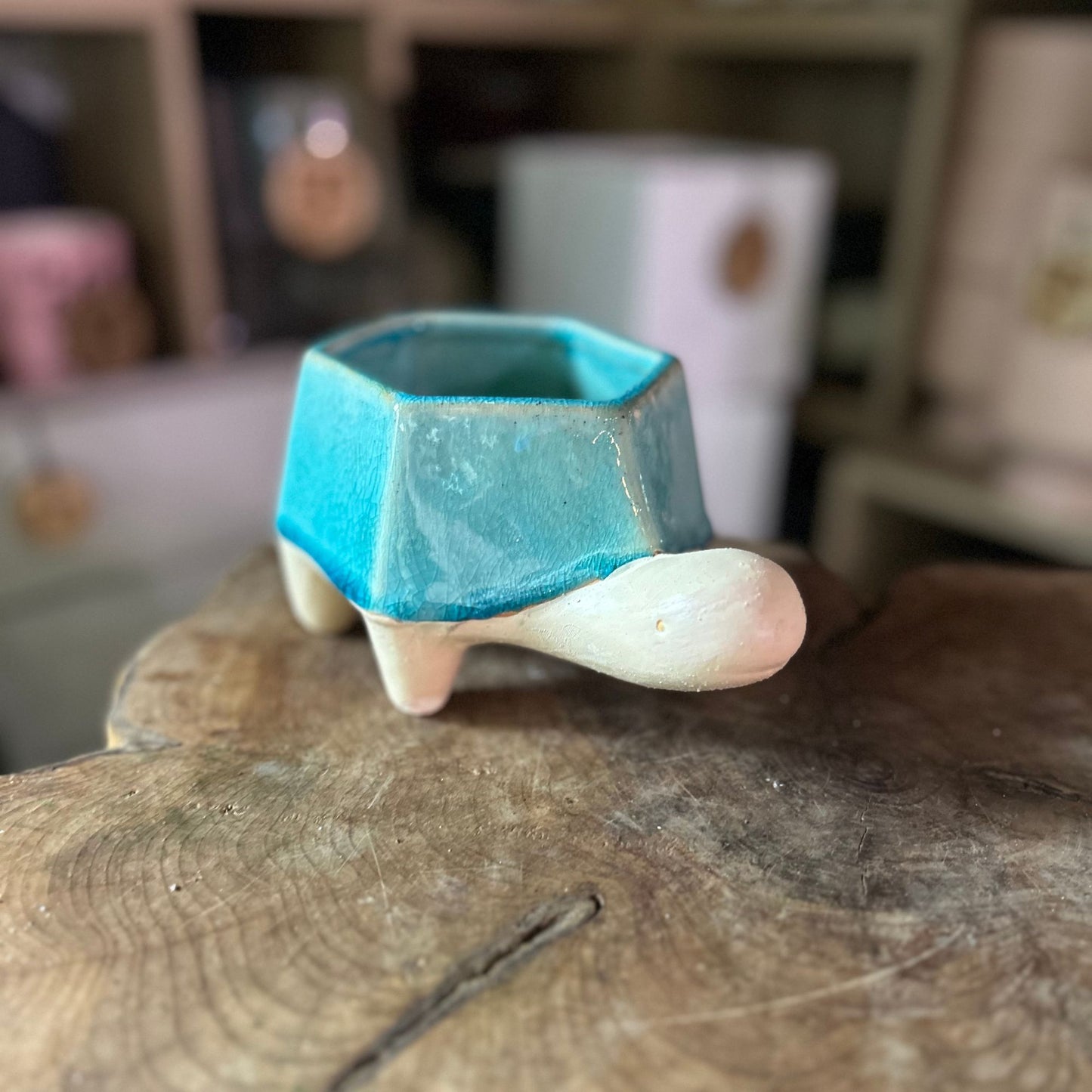 Turtle Pot 4.5"