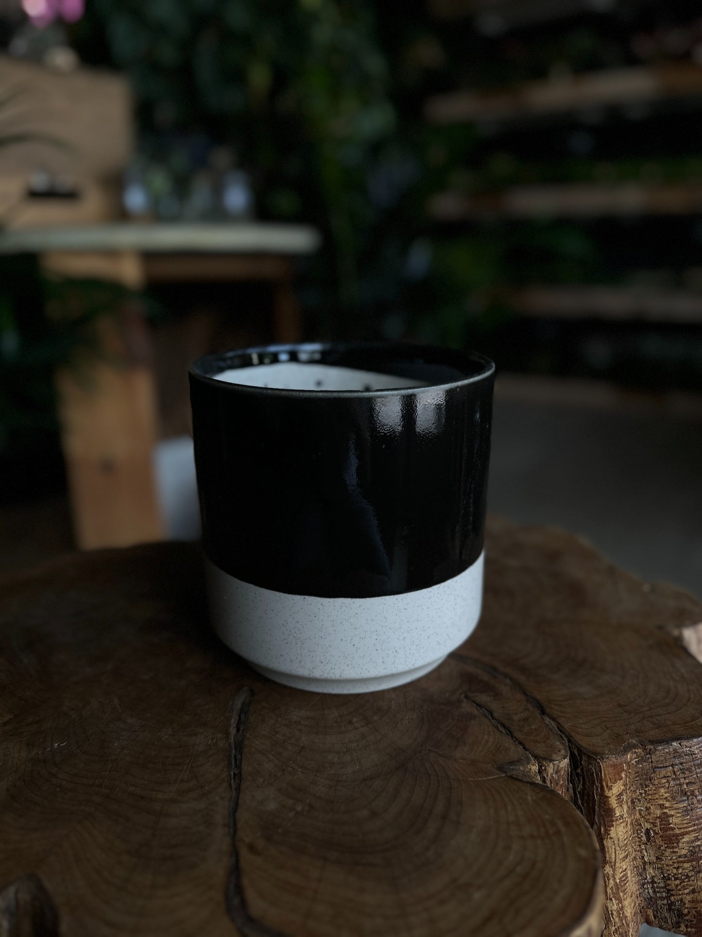 Miguel Pot Black 6"