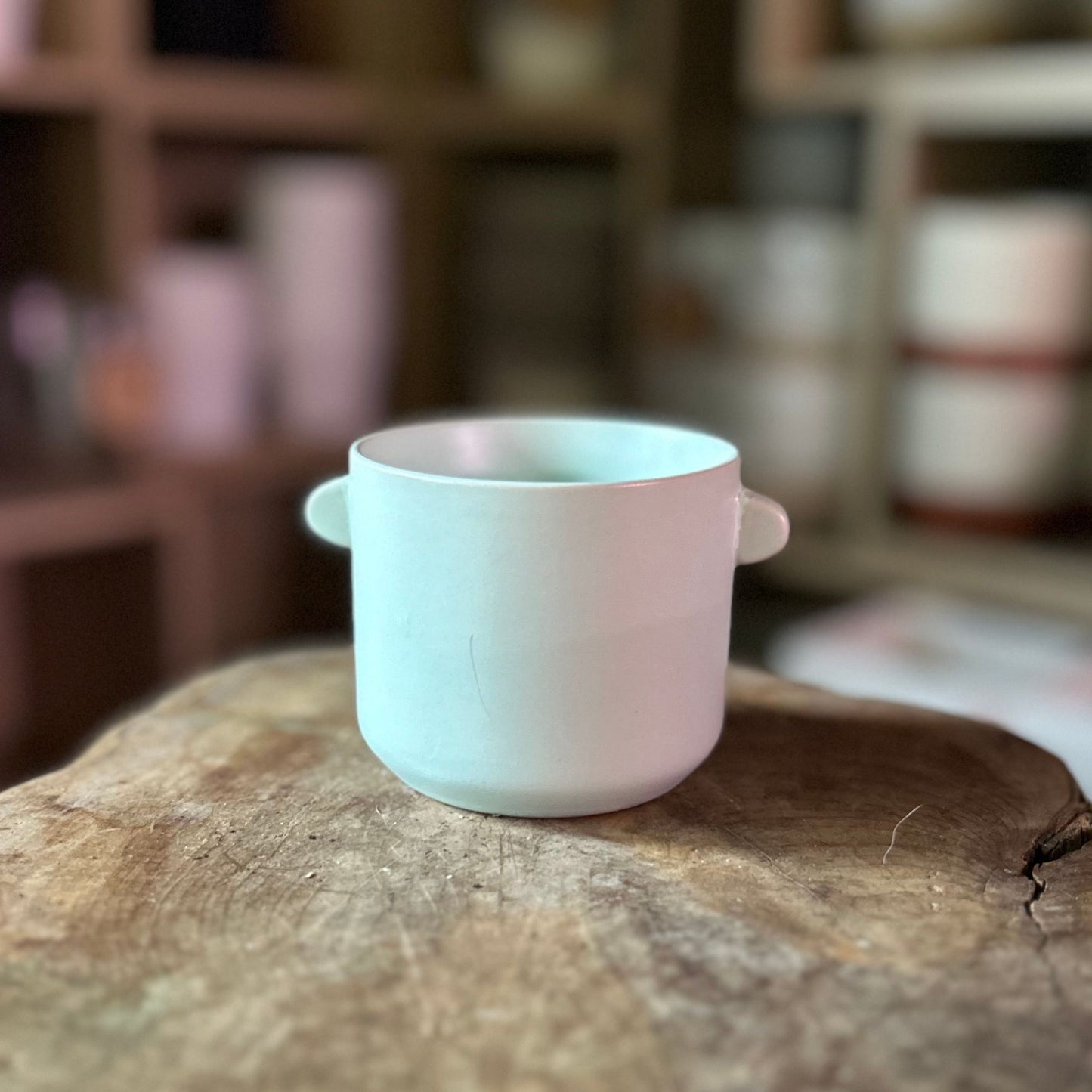 Jamye Pot Mint 3"