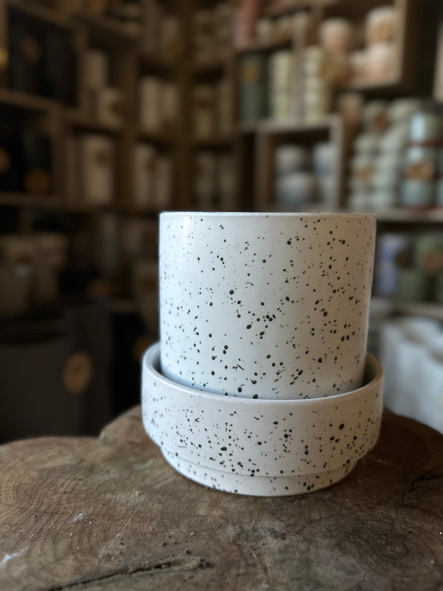 Claxton Pot White 6"