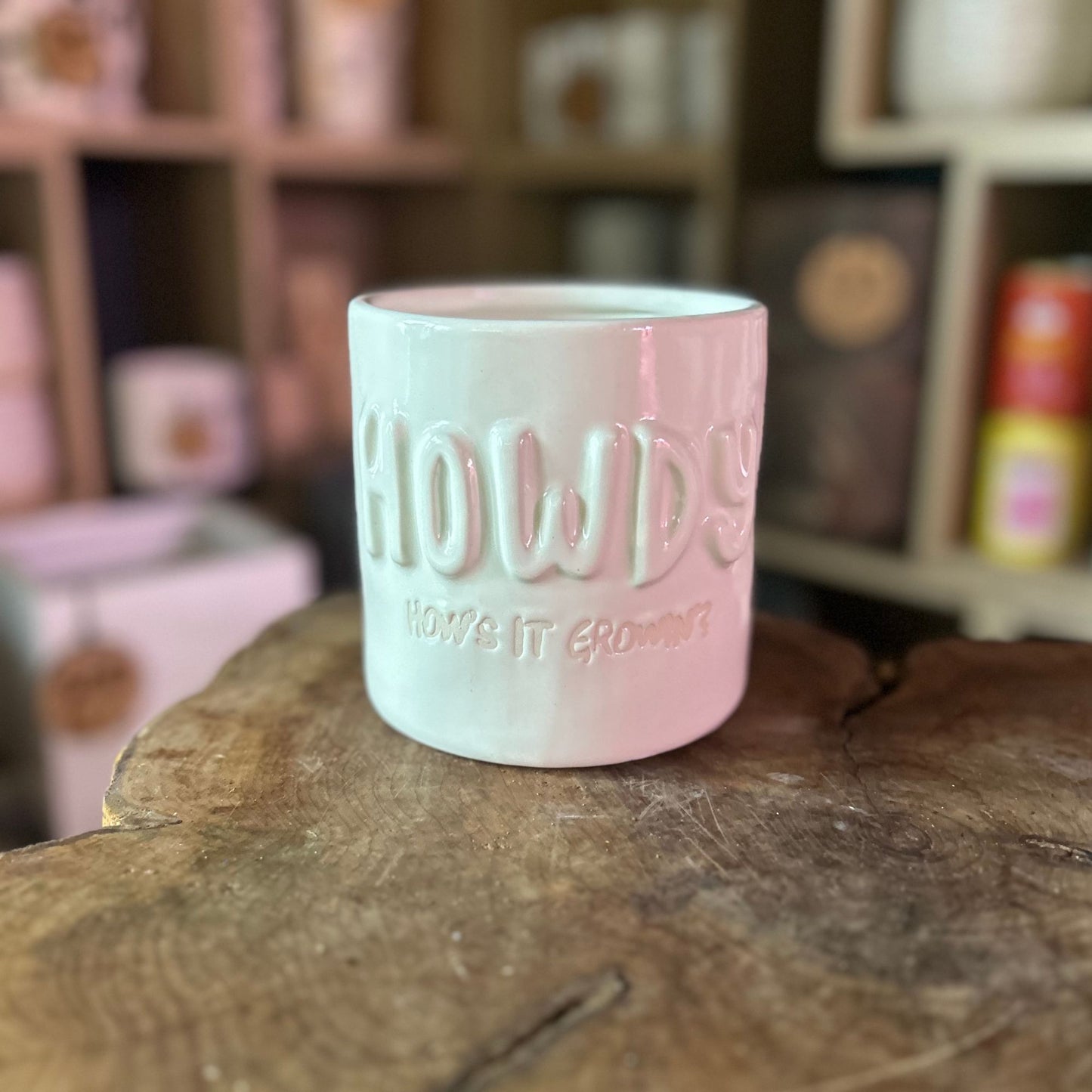 Howdy Plant Pot 4.5"