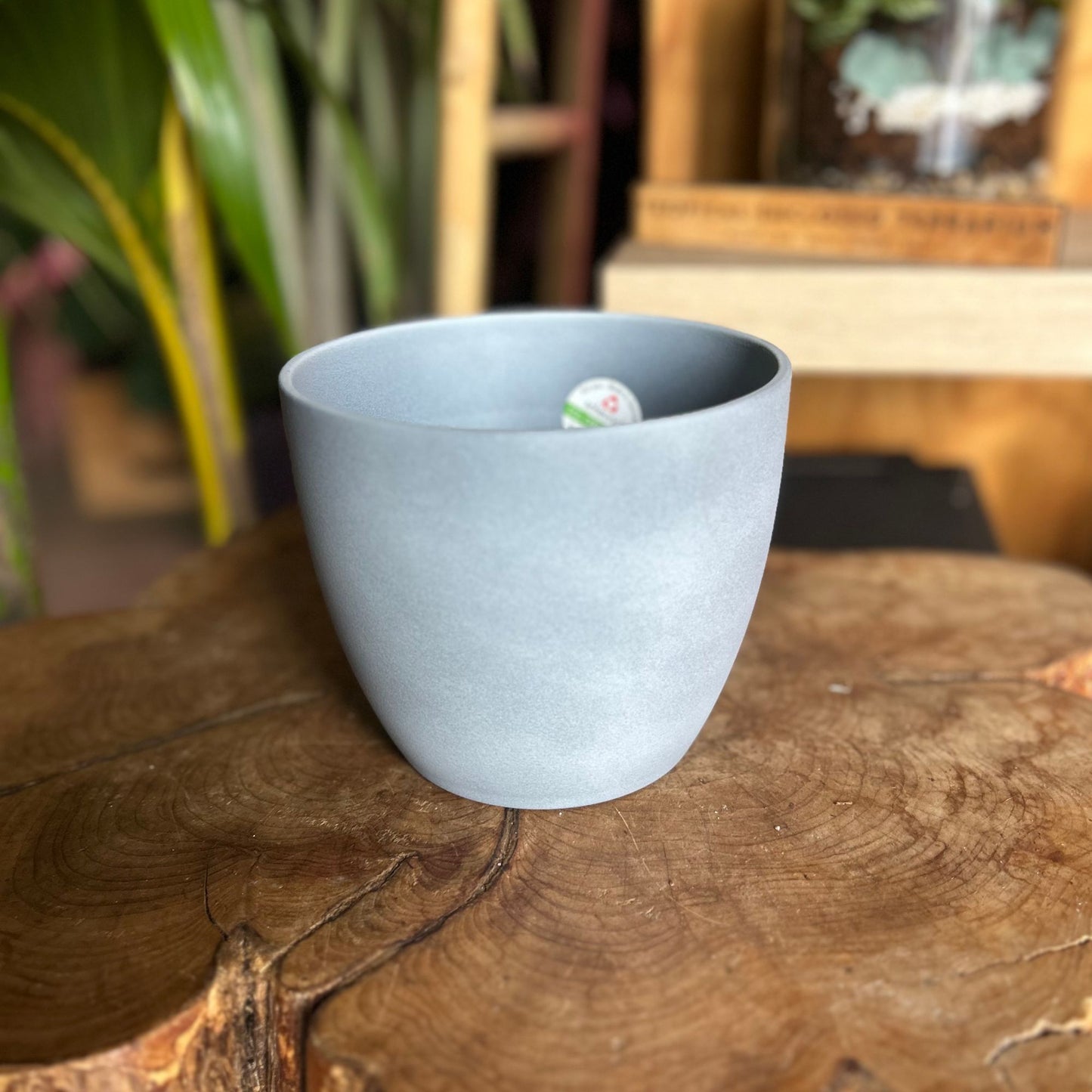 Grey Stone Pot 6.25"