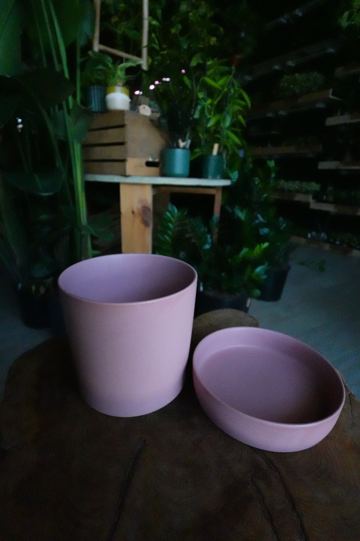 Watson Pot Pink 6"
