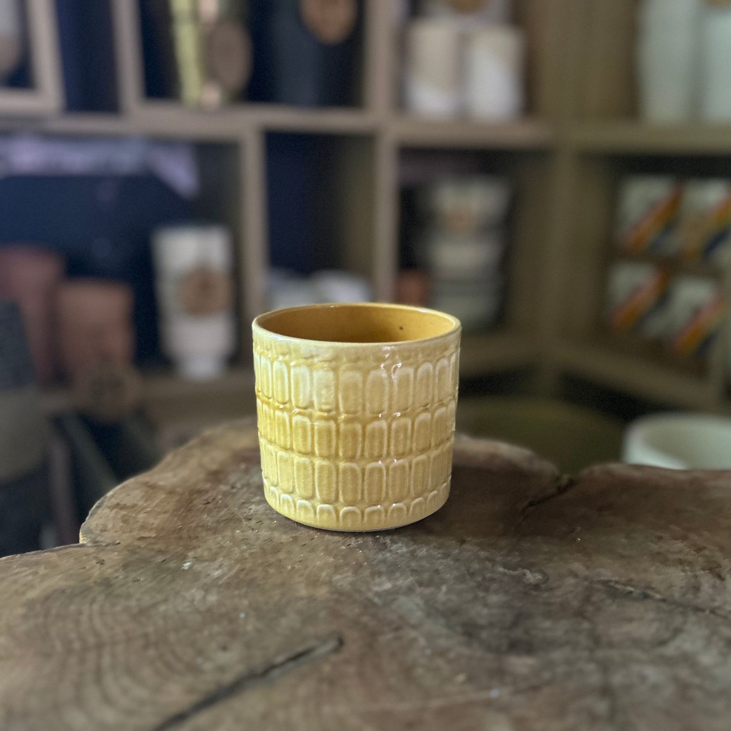 Elna Pot 3"