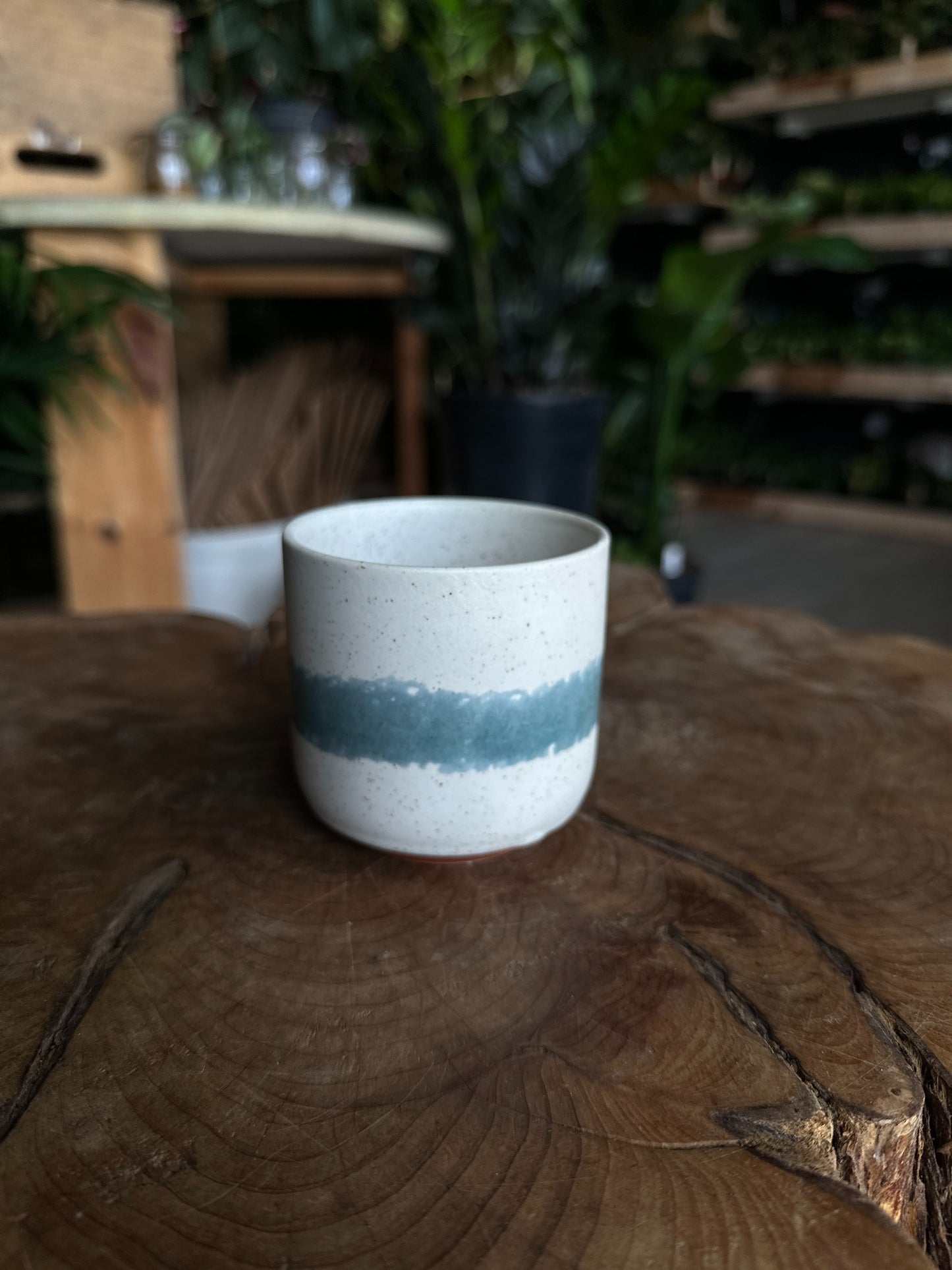 Mateo Pot 3"