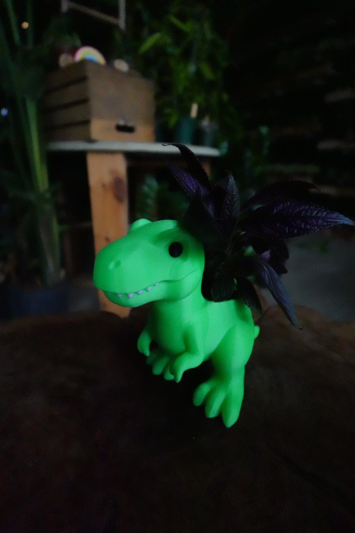 Dino Pot - T-Rex
