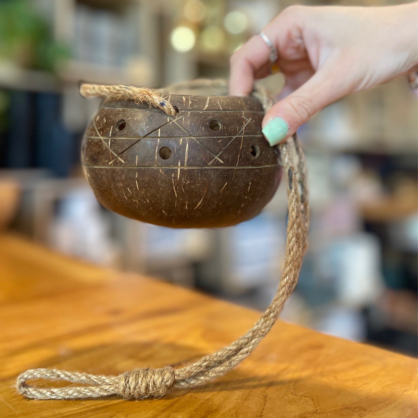 Coconut Planter Hanging