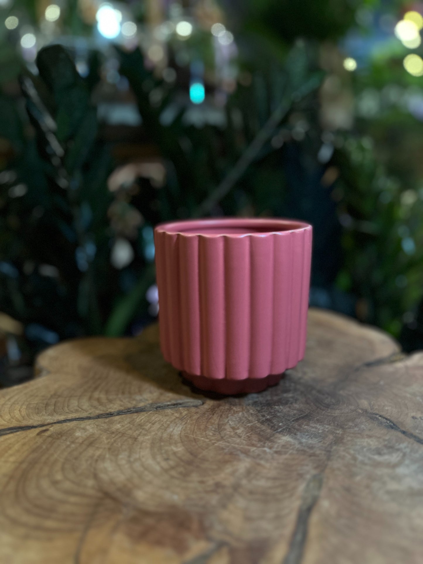 Carmen Pot Pink 4.5"