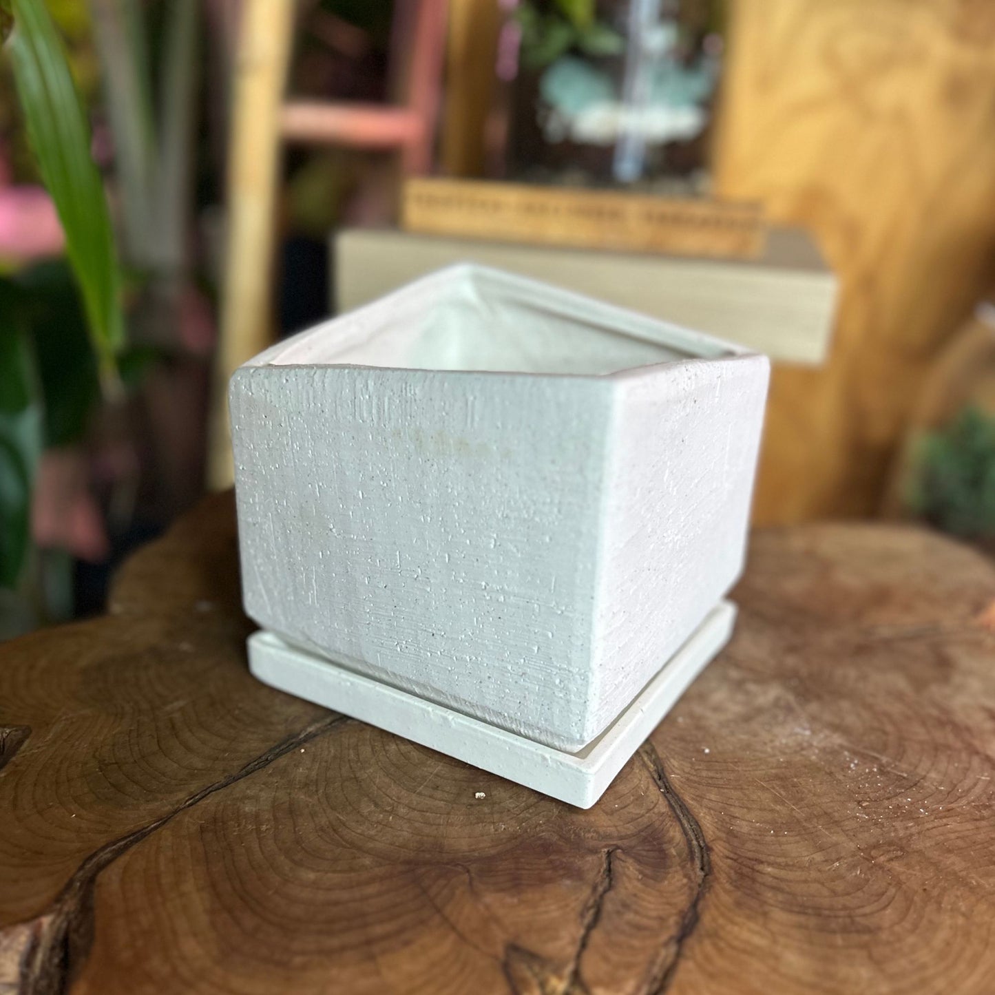 Tevy Pot 5”