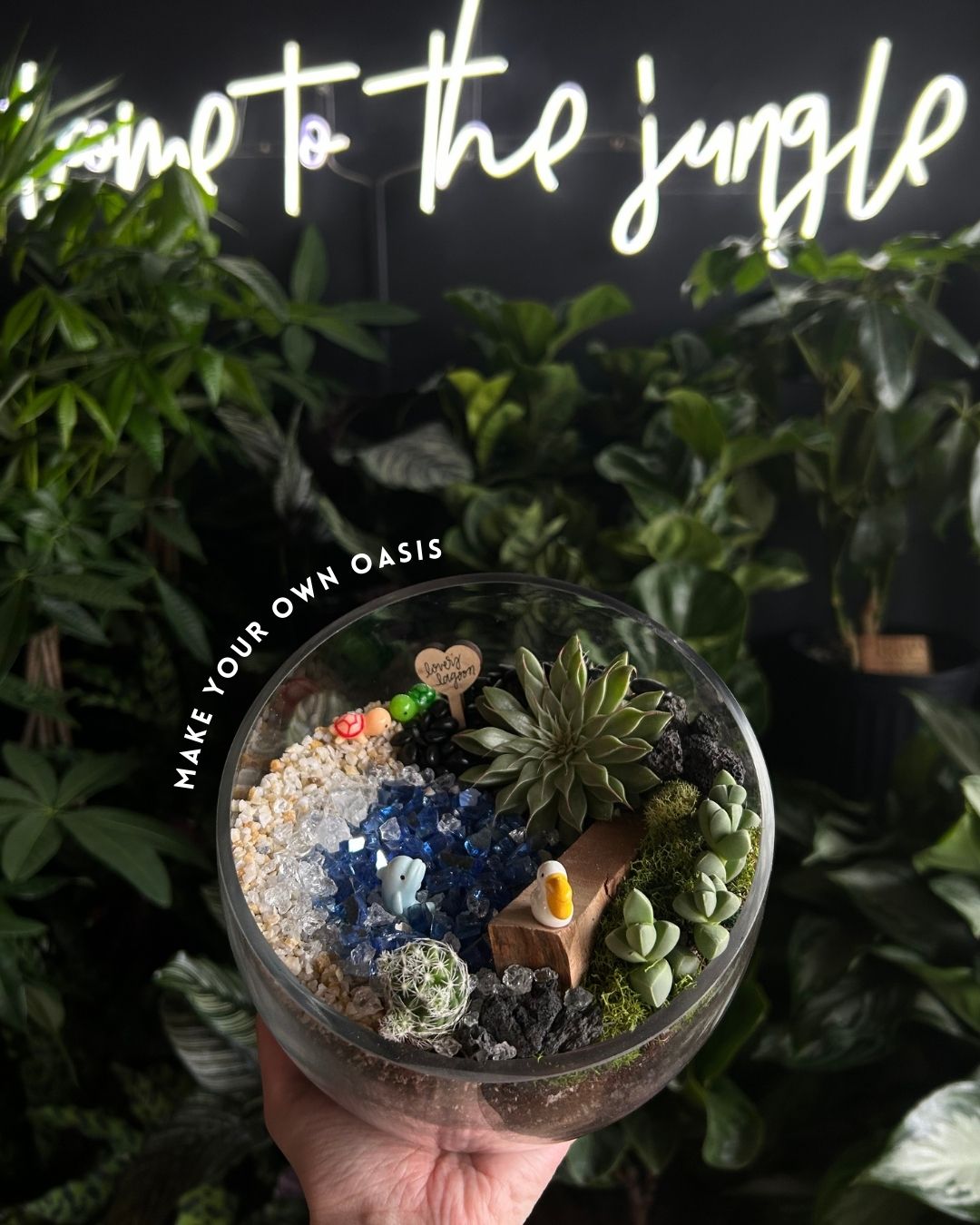 Plant + Sip: desert open terrarium building saturday 5/30