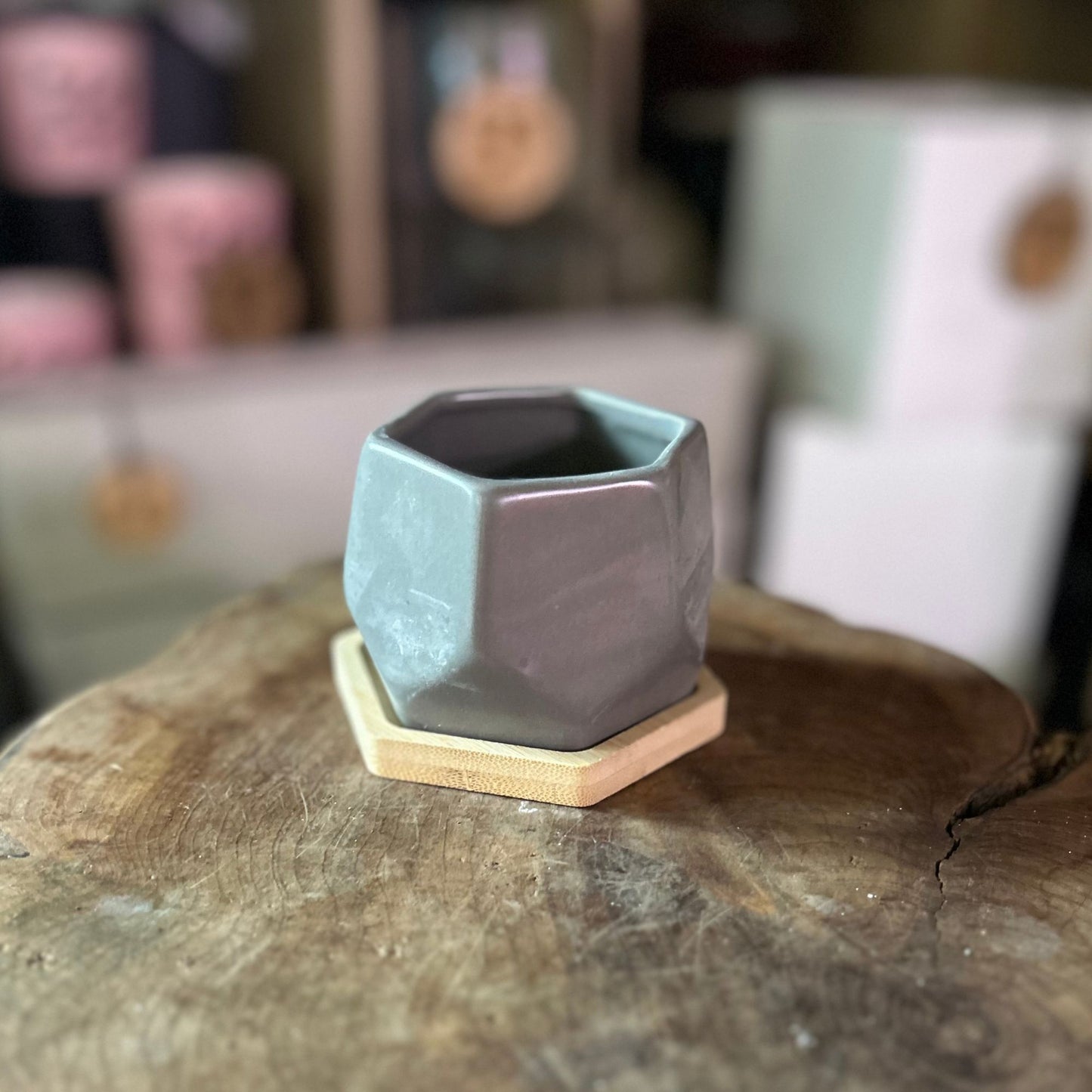 Hexagon Pot w/ Saucer 3"