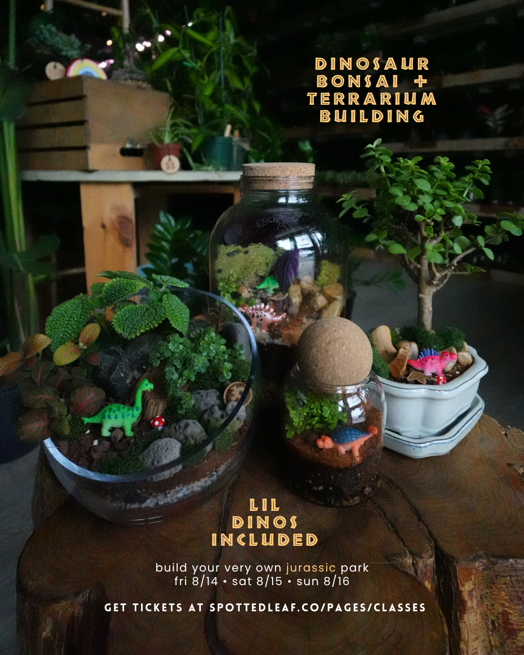 Dino Terrarium Building