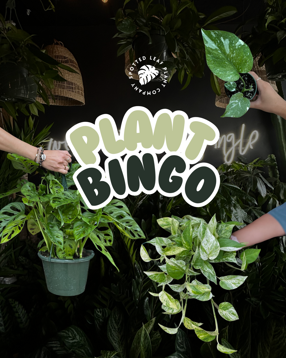 spotted leaf bingo