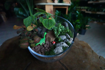 Dinosaur Terrariums - Sat 8/15 6:00 PM