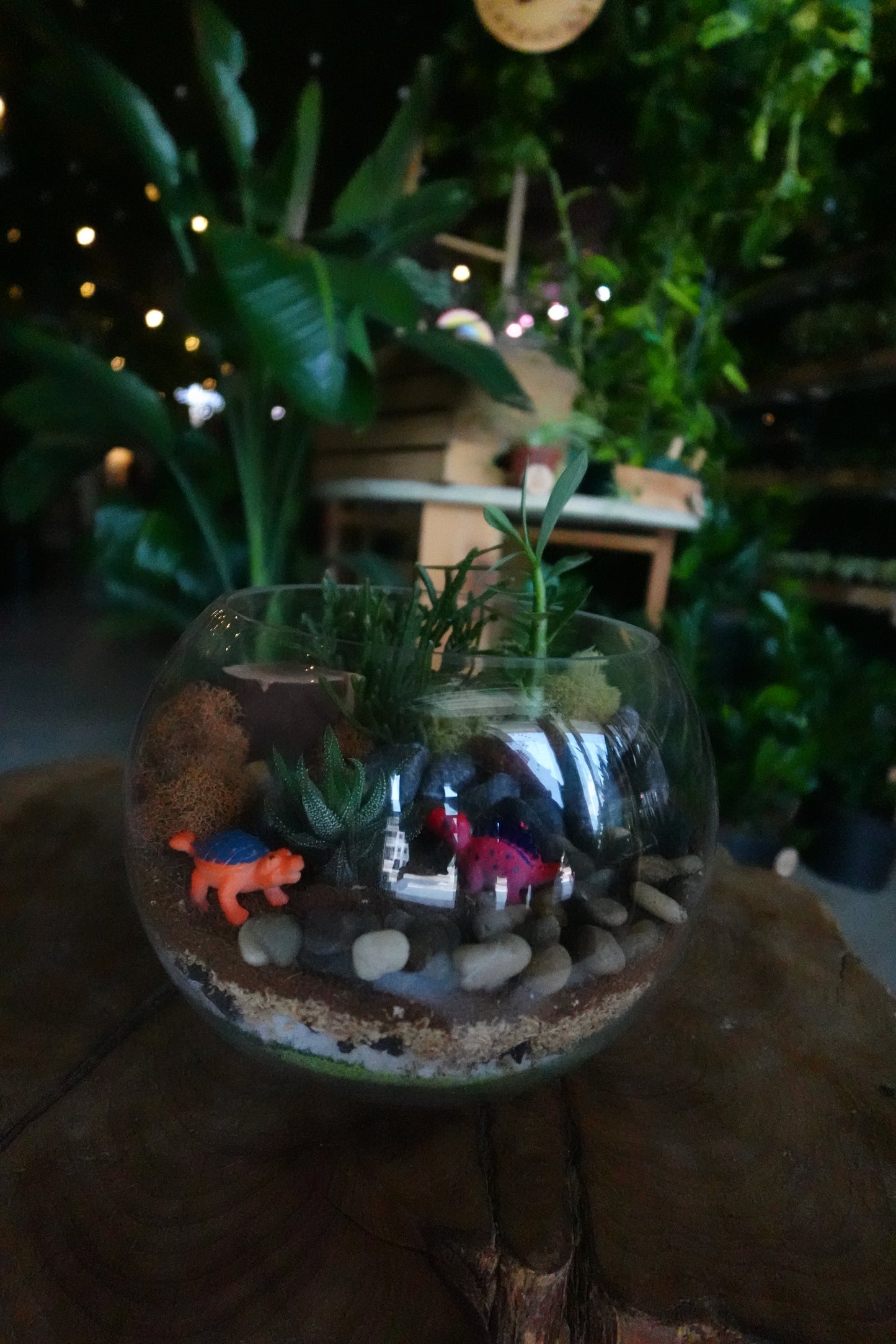 Dinosaur Terrariums - Sat 8/15 6:00 PM