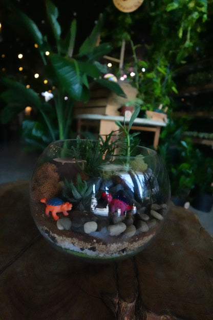 Dinosaur Terrariums - Sat 8/15 6:00 PM