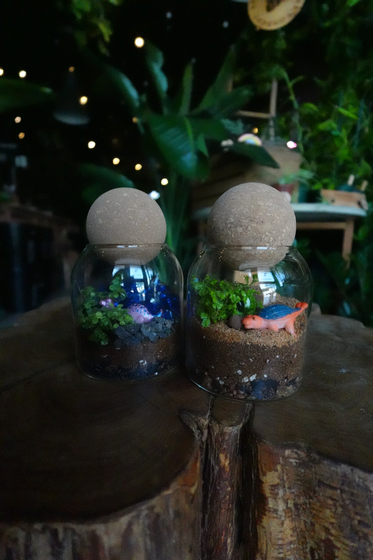 Dinosaur Terrariums - Sat 8/15 6:00 PM