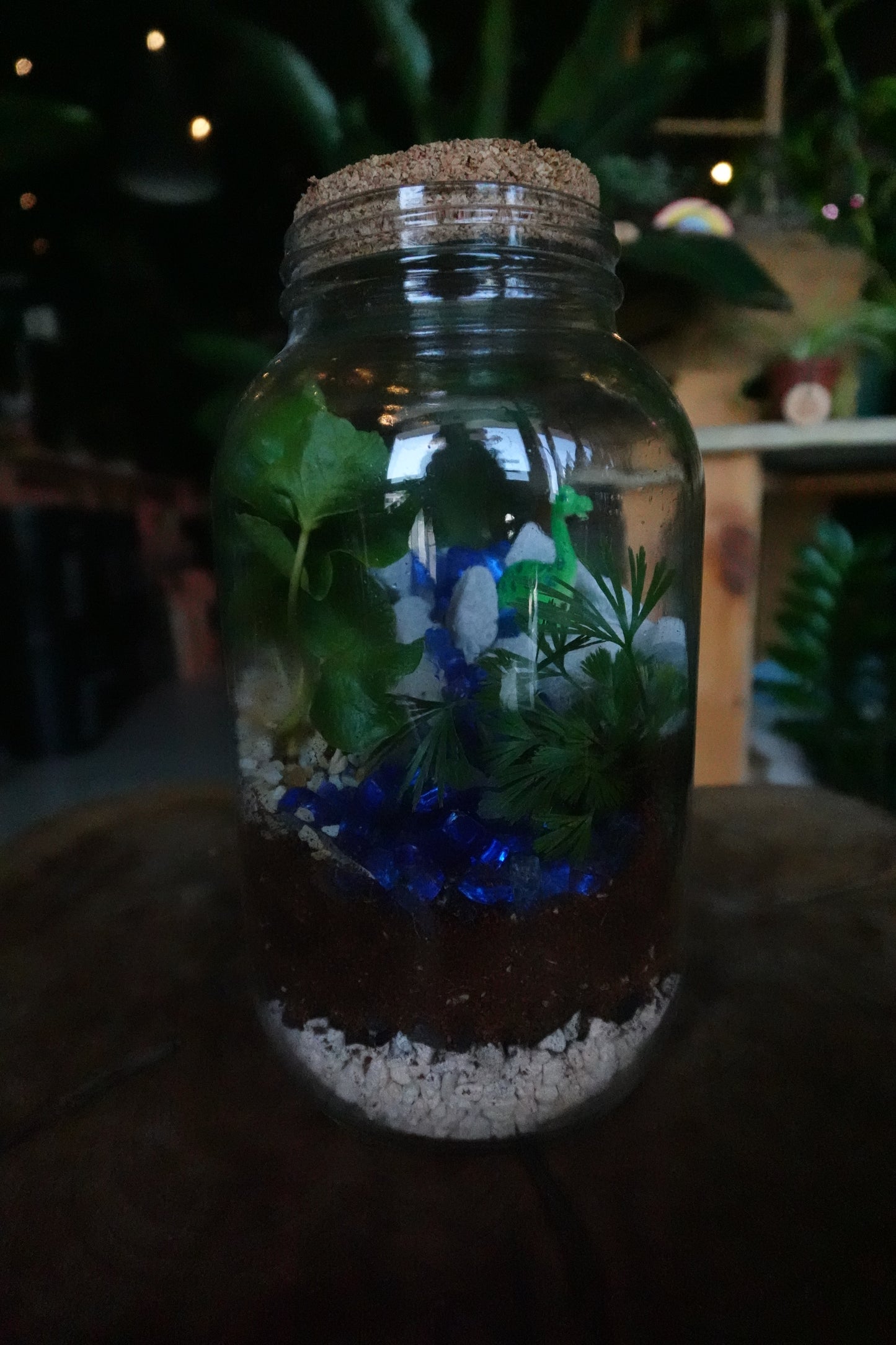 Dinosaur Terrariums - Sat 8/15 6:00 PM