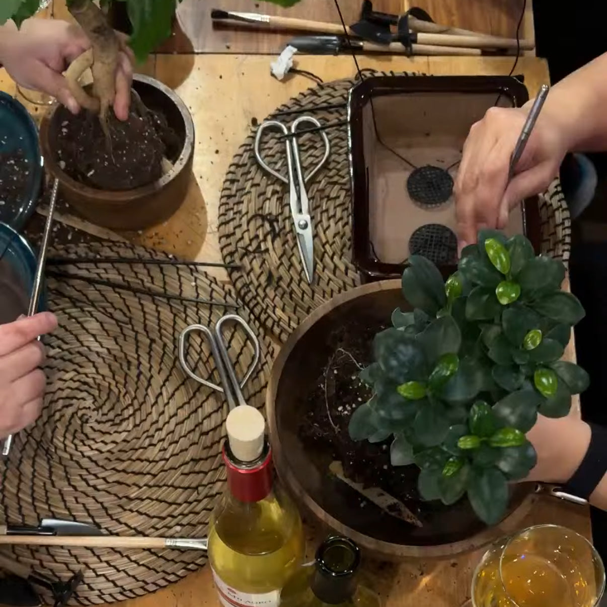 A top-down view of a group of people participating in a bonsai workshop, crafting miniature plants in pots on a rustic wooden table with tools and bottles.