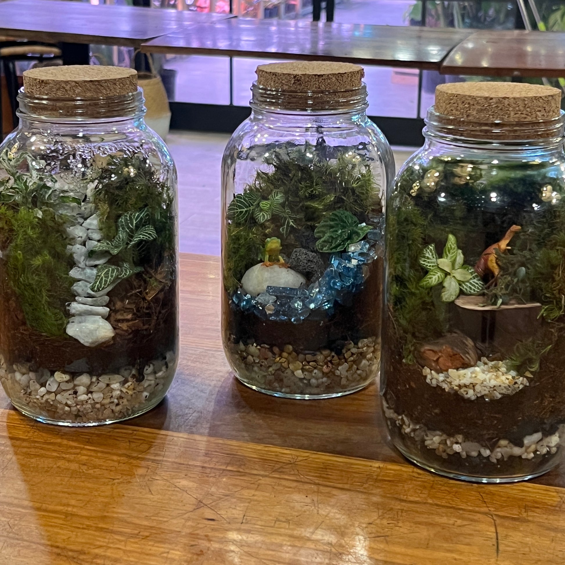 Three glass mason jars with cork lids, each containing a miniature forest diorama with green moss, small plants, pebbles, and tiny figurines, displayed on a wooden table.