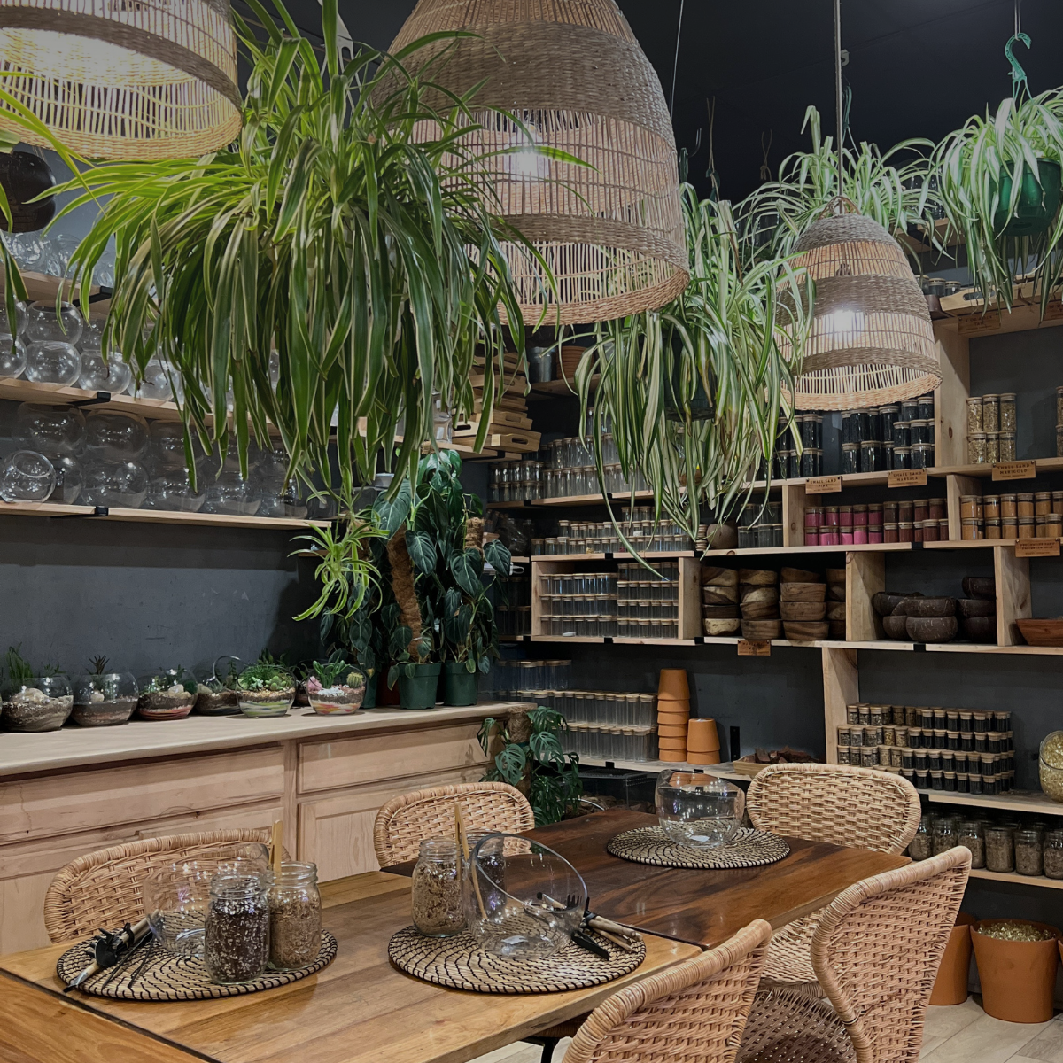 A classroom area with a wooden table, woven wicker chairs, and large hanging woven pendant lights, surrounded by lush green plants and shelves of materials in the background.