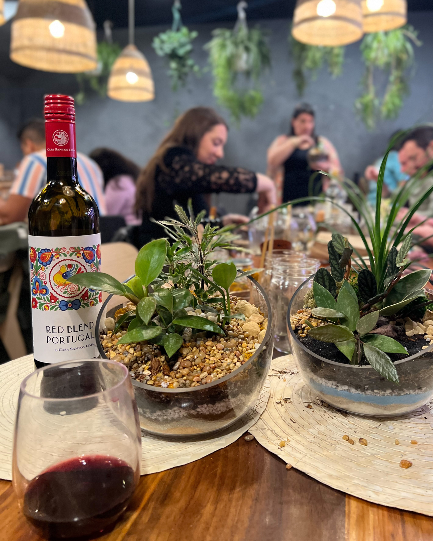 A bottle of Red Blend Portuguese wine and a filled wine glass on a wooden table in a restaurant setting, with potted succulents in the foreground and blurred people dining in the background.