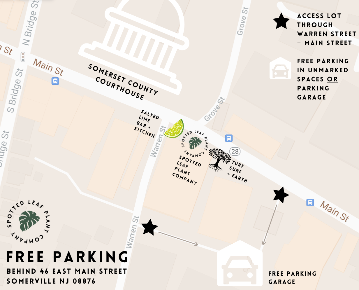 Map of Somerville, NJ with free parking information and landmarks.