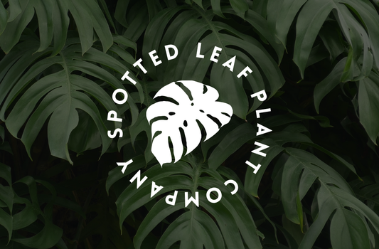 Spotted Leaf E-Gift Card