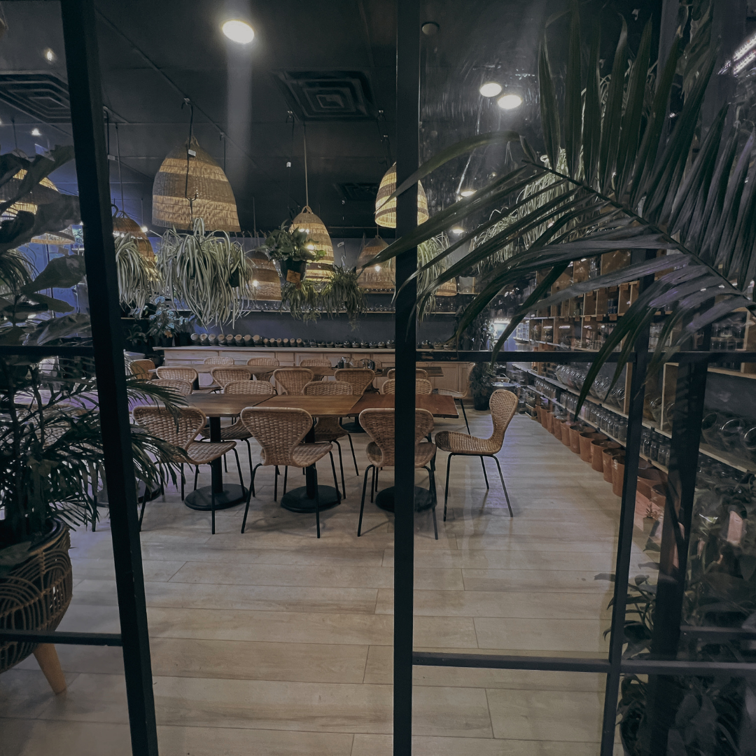 A view through large black-framed glass doors into a classroom interior with wicker chairs, round tables, hanging woven pendant lights, and tropical plants.