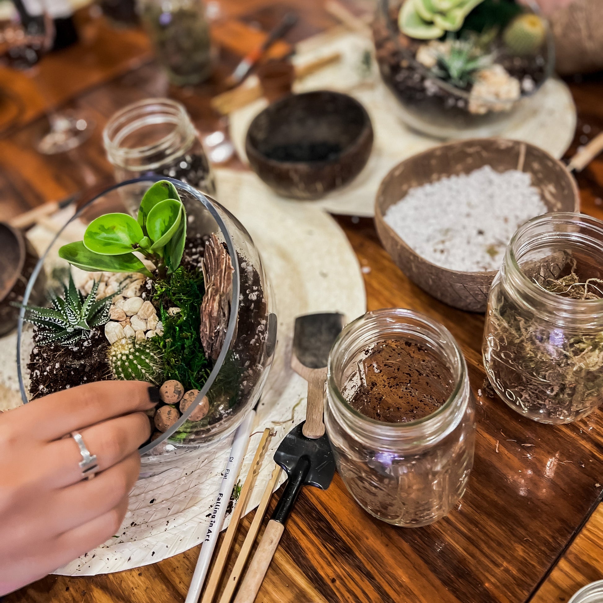 A group of people crafting miniature glass terrariums on a rustic wooden table, with one person's hand placing a small succulent into a glass bowl filled with soil, moss, and stones.