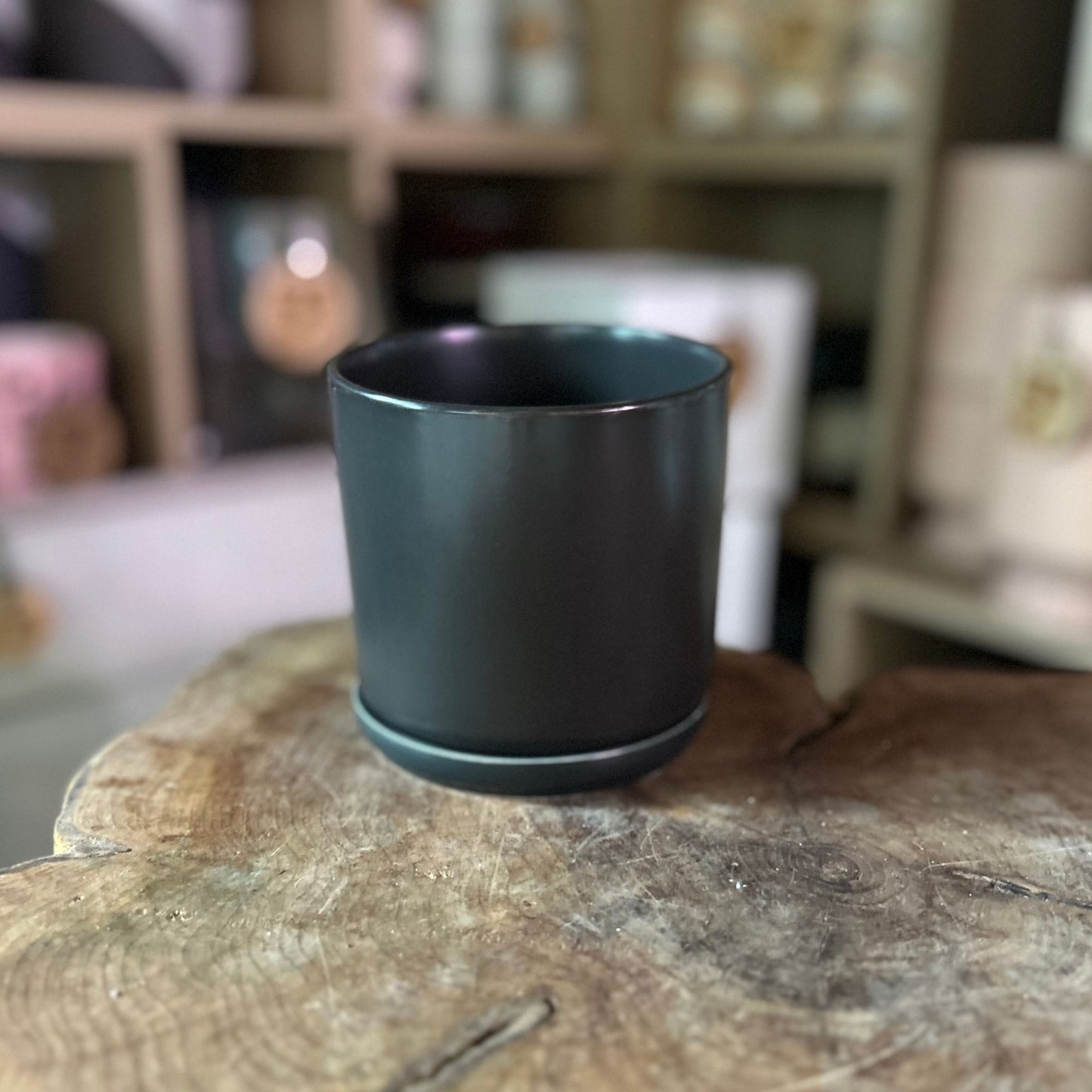 Cylinder Pot w/ Saucer 4.5"