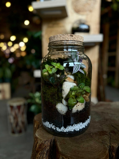 plant + sip: tropical enclosed terrarium building friday 5/15